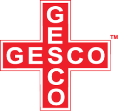 https://www.mncjobsindia.com/company/gesco-healthcare-private-limited-1611834638