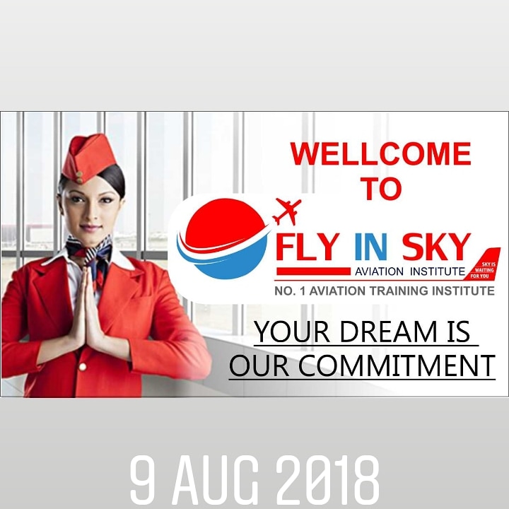 https://www.mncjobsindia.com/company/sky-aviation