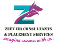 https://www.mncjobsindia.com/company/zeev-hr-consultants-placement-services-1653137212