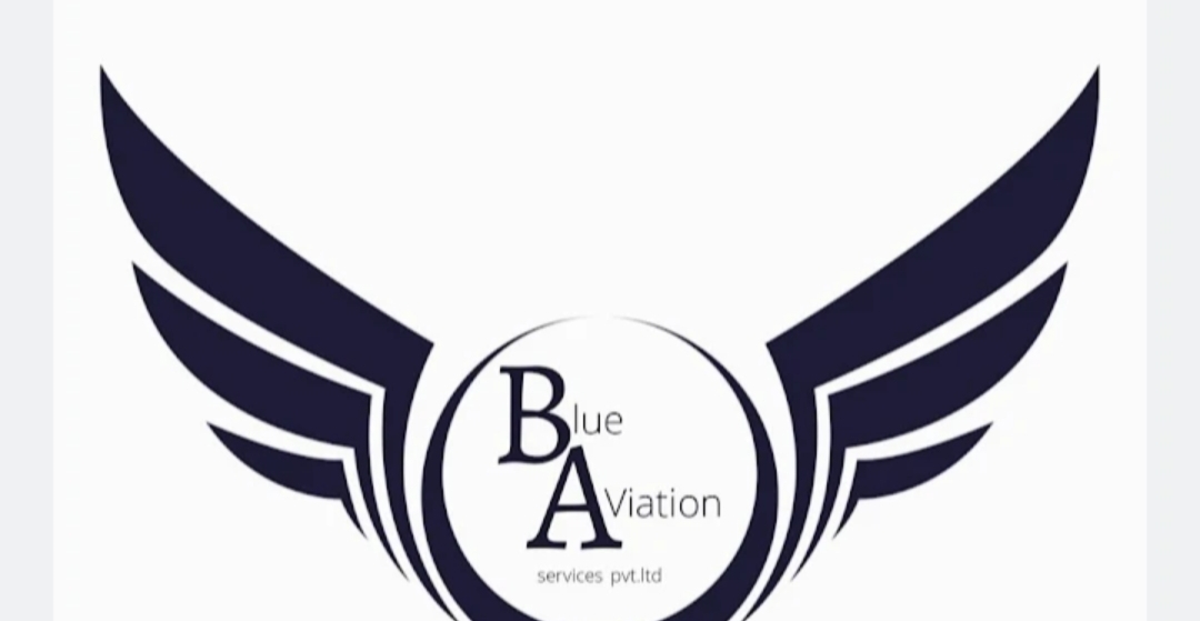 https://www.mncjobsindia.com/company/blue-aviation-pvt-ltd
