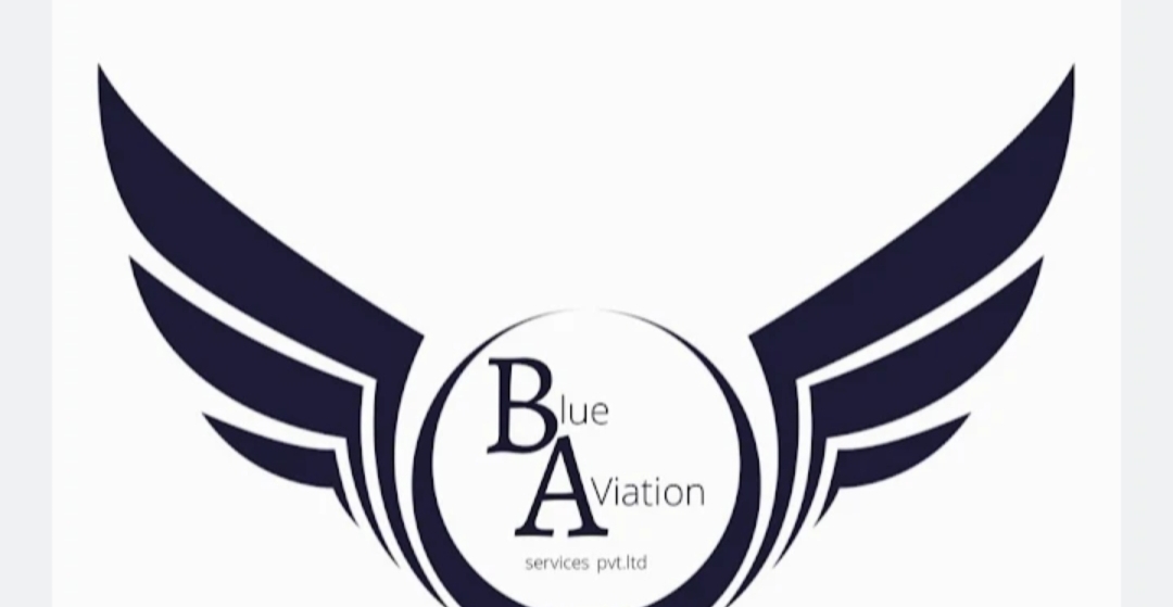 https://www.mncjobsindia.com/company/blue-aviation-pvt-ltd-1658232183