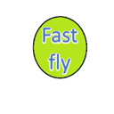 https://www.mncjobsindia.com/company/fly-speed