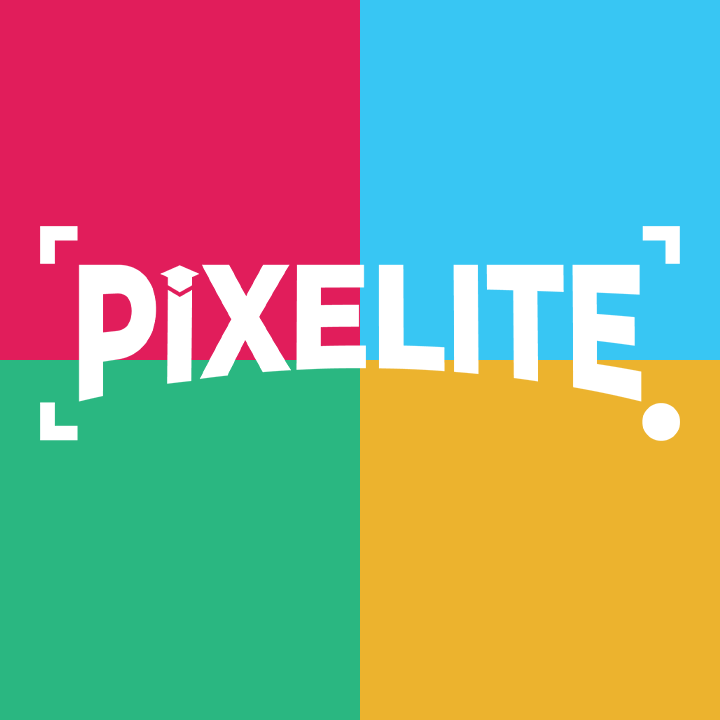 https://www.mncjobsindia.com/company/pixelite-multimedia-animation-academy-1672727906