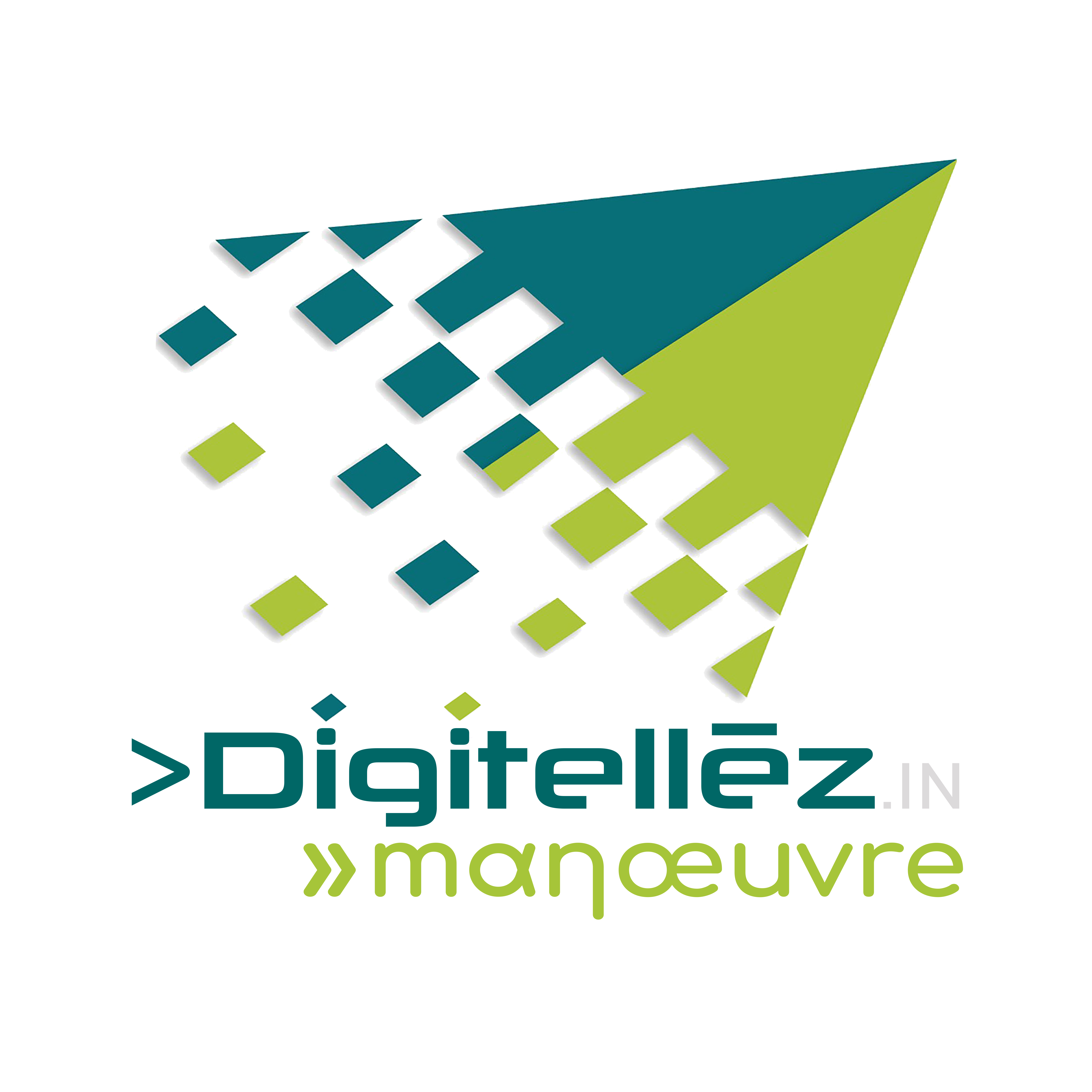 https://www.mncjobsindia.com/company/digitellez