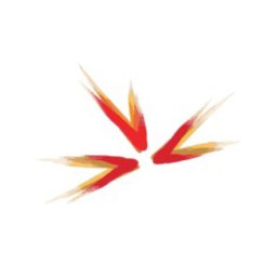 https://www.mncjobsindia.com/company/ascent-hr