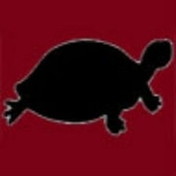 https://www.mncjobsindia.com/company/black-turtle