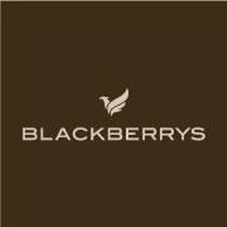 https://www.mncjobsindia.com/company/blackberrys