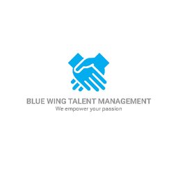 https://www.mncjobsindia.com/company/blue-wing-talent-management