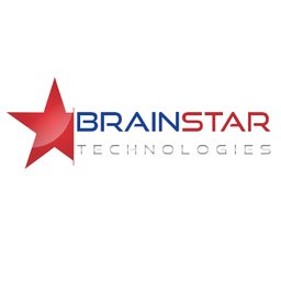 https://www.mncjobsindia.com/company/brain-star-technologies