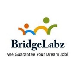 https://www.mncjobsindia.com/company/bridgelabz-solutions-llp