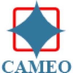 https://www.mncjobsindia.com/company/cameo-corporate-services-limited