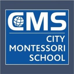 https://www.mncjobsindia.com/company/city-montessori-school