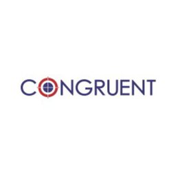 https://www.mncjobsindia.com/company/congruent-solutions-inc