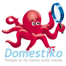 https://www.mncjobsindia.com/company/domestiko