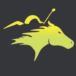 https://www.mncjobsindia.com/company/gollan-racing