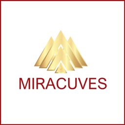 https://www.mncjobsindia.com/company/miracuves