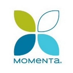 https://www.mncjobsindia.com/company/momenta