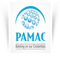 https://www.mncjobsindia.com/company/pamac-finserve-pvt-ltd