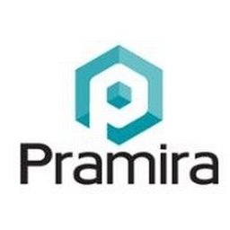 https://www.mncjobsindia.com/company/pramira-inc