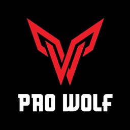 https://www.mncjobsindia.com/company/pro-wolf