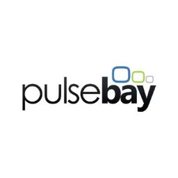 https://www.mncjobsindia.com/company/pulsebay