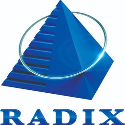 https://www.mncjobsindia.com/company/radixweb