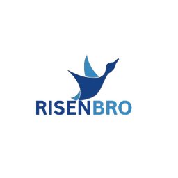 https://www.mncjobsindia.com/company/risenbro