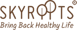 https://www.mncjobsindia.com/company/skyroots-ventures