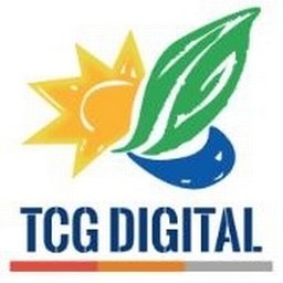 https://www.mncjobsindia.com/company/tcg-digital