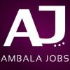 https://www.mncjobsindia.com/company/ambala-jobs