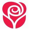 https://www.mncjobsindia.com/company/american-greetings