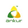 https://www.mncjobsindia.com/company/ankur-scientific-energy-technologies