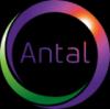 https://www.mncjobsindia.com/company/antal-international
