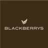 https://www.mncjobsindia.com/company/blackberrys