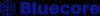 https://www.mncjobsindia.com/company/bluecore