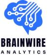 https://www.mncjobsindia.com/company/brainwire-business-analytics