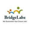 https://www.mncjobsindia.com/company/bridgelabz-solutions-llp