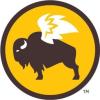 https://www.mncjobsindia.com/company/buffalo-wild-wings