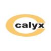 https://www.mncjobsindia.com/company/calyx-chemicals-pharmaceuticals-ltd