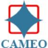 https://www.mncjobsindia.com/company/cameo-corporate-services-limited