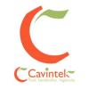 https://www.mncjobsindia.com/company/cavintek-software-private-limited