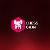 https://www.mncjobsindia.com/company/chess-gaja