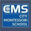 https://www.mncjobsindia.com/company/city-montessori-school