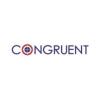 https://www.mncjobsindia.com/company/congruent-solutions-inc