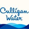 https://www.mncjobsindia.com/company/culligan