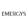 https://www.mncjobsindia.com/company/emergys