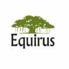 https://www.mncjobsindia.com/company/equirus