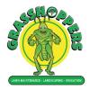 https://www.mncjobsindia.com/company/grasshoppers