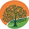 https://www.mncjobsindia.com/company/green-grove-interntional-school-near-ramoji-film-city