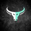 https://www.mncjobsindia.com/company/hirebulls